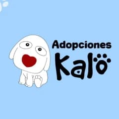 Logo KALO - Adopciones